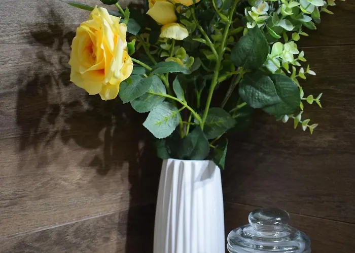 S K K شقة أرغوستولي